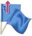 Blue flag
